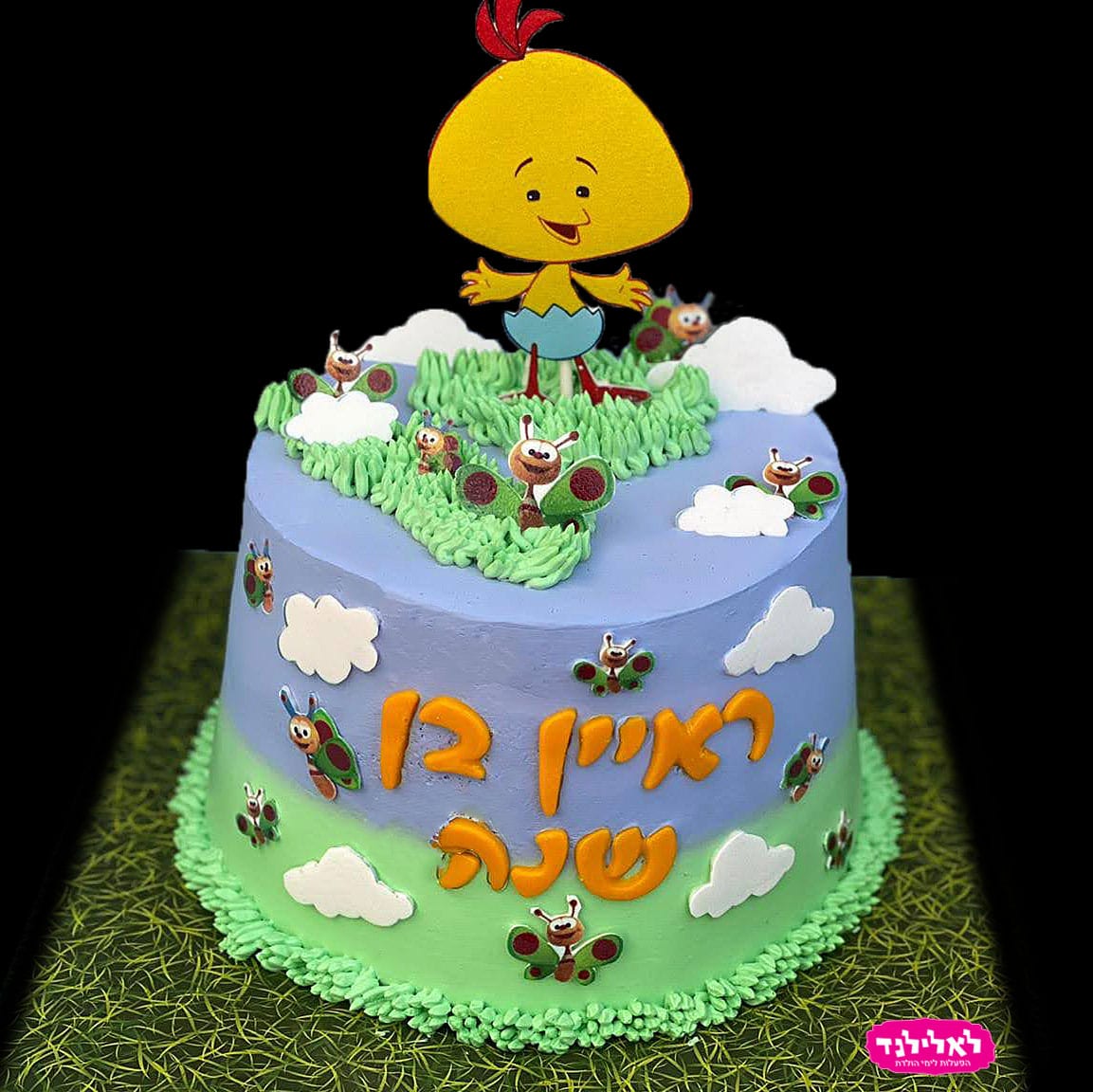 עוגת יום הולדת לראיין